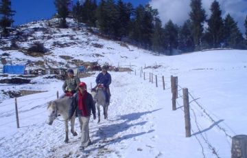 Amazing 7 Days 6 Nights Shimla and Manali Holiday Package