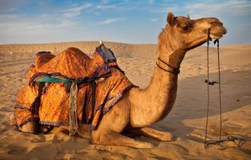 Family Getaway 15 Days 14 Nights Delhi, Agra, Jaipur, Jodhpur, Udaipur, Pushkar, Kishangarh and Jaisalmer Holiday Package