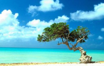 Experience 5 Days 4 Nights Port Blair with Havelock Holiday Package