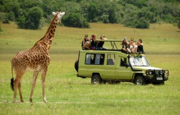 Ecstatic 5 Days 4 Nights Maasai Mara Tour Package