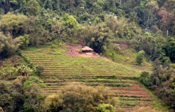 Beautiful 18 Days 17 Nights Panging Holiday Package