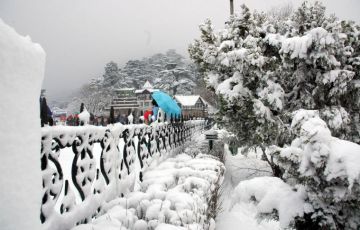 Experience 6 Days 5 Nights Delhi, Shimla with Manali Holiday Package