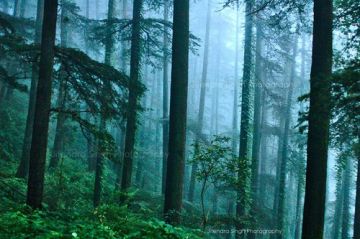 Best 7 Days 5 Nights Chandigarh, Shimla and Manali Vacation Package