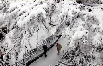 Heart-warming 9 Days 8 Nights Shimla, Manali, Dharamshala and Dalhousie Trip Package