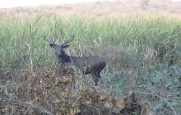 Memorable 3 Days 2 Nights Ahmedabad Holiday Package