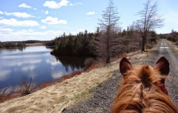 Memorable 3 Days 2 Nights Ahmedabad Holiday Package