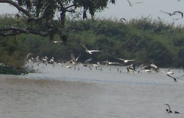 Memorable 5 Days 4 Nights siem reap Trip Package