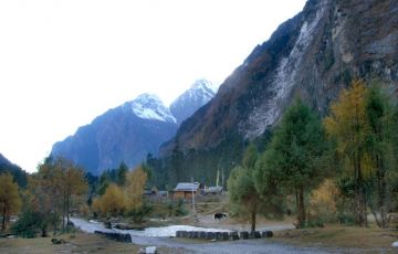 Heart-warming 13 Days 12 Nights Lachung Holiday Package