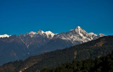 Ecstatic 12 Days 11 Nights Yumthang Holiday Package