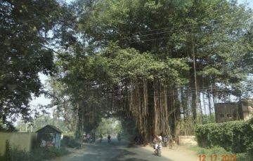 Experience 3 Days 2 Nights Siliguri, Lachung and Yumthang Trip Package