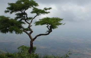 Family Getaway 2 Days 1 Night Silentvalley Trip Package