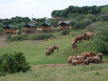 Best 9 Days 8 Nights South Africa, Cape Town and Table Mountain Vacation Package