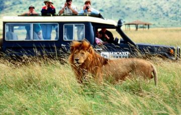Best 13 Days 12 Nights Kruger Park Vacation Package