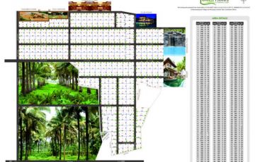 Ecstatic 12 Days 11 Nights Conoor Holiday Package