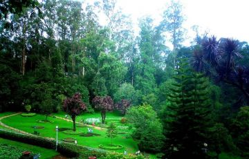 Family Getaway 12 Days 11 Nights Cochin Trip Package