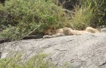 Best 7 Days 6 Nights BRHills Tour Package