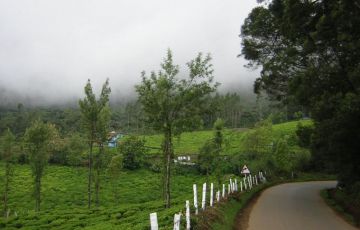Experience 5 Days 4 Nights Bangalore, Mysore and Ooty Holiday Package