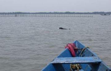 3 Days 2 Nights Bhubaneswar, Puri with Chilka Lake Holiday Package