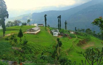 Amazing 8 Days 7 Nights Yumthang Valley Vacation Package