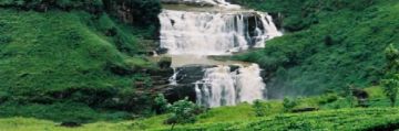 Best 5 Days 4 Nights Munnar Honeymoon Trip Package