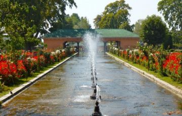 Heart-warming 5 Days 4 Nights Srinagar Holiday Package