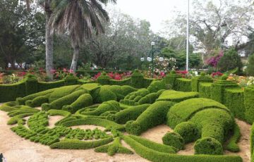 Best 11 Days 10 Nights Trivandrum, Houseboat, Kumarakom, Periyar, Munnar and Cochin Vacation Package