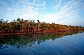 Heart-warming Sundarban Tour Package for 3 Days 2 Nights