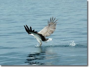 Heart-warming Sundarban Tour Package for 3 Days 2 Nights