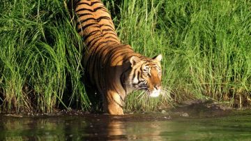 Experience Jessore Tour Package for 5 Days 4 Nights
