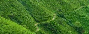 Assam Arunachal Tour