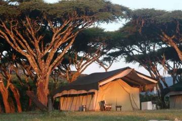 Heart-warming 4 Days 3 Nights Arusha, Ngorongoro, Lake Manyara and Karatu Holiday Package