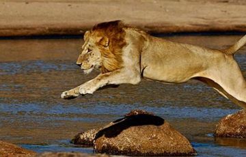 Amazing 7 Days 6 Nights Tanzania Tour Package