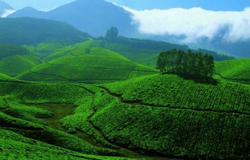 9 Days 8 Nights Cochin, Munnar, Periyar, Kumarakom with Houseboat Holiday Package