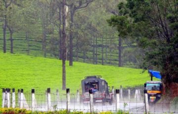 Best 9 Days 8 Nights Cochin Tour Package