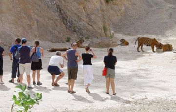 Royal Chitwan Tour Package for 19 Days 18 Nights from Delhi