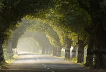 Amazing 3 Days 2 Nights Thanjavur Tour Package