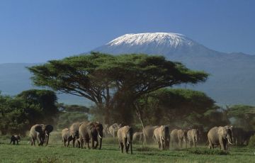 Amazing 3 Days 2 Nights Amboseli National Park Tour Package