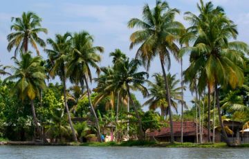 Ecstatic 6 Days 5 Nights Kumarakom Vacation Package