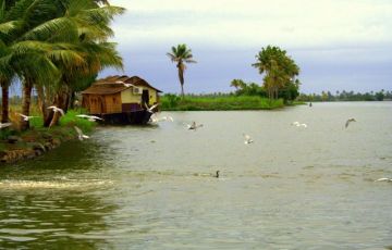 Heart-warming 4 Days 3 Nights Cochin, Kumarakom and Alleppey Vacation Package