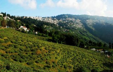 Pleasurable 5 Days 4 Nights Bagdogara Tour Package