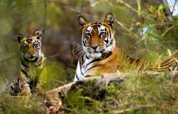 Heart-warming 8 Days 7 Nights Khajuraho Trip Package