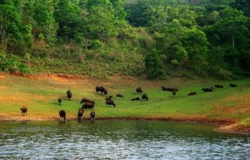 Beautiful 17 Days 16 Nights Periyar Holiday Package