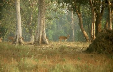 Heart-warming 7 Days 6 Nights Delhi, Nagpur, Pench and Kanha Vacation Package