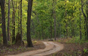 Ecstatic 15 Days 14 Nights Jaipur, Ranthambore, Bharatpur, Fatehpur Sikhri, Agra, Khajuraho, Bandhavgarh, Kanha, Nagpur and Delhi Trip Package