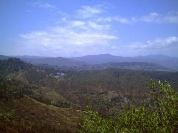 Experience 5 Days 4 Nights Almora and Jim Corbett Tour Package