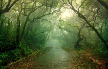 Ecstatic 4 Days 3 Nights Lonawals Vacation Package