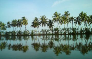 Ecstatic 7 Days 6 Nights Alleppey, Thekkady, Munnar with Cochin Tour Package