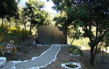 Ecstatic Rishikesh Tour Package for 3 Days 2 Nights