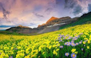 Memorable 8 Days 7 Nights Govindghat Tour Package