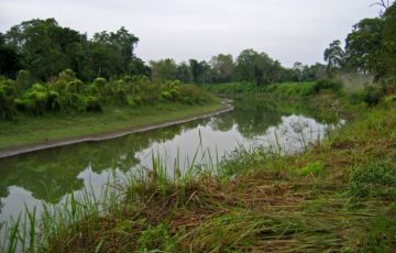 Jorhat, Kaziranga and Guwahati Tour Package from Guwahati